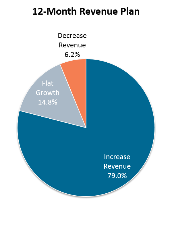 12-Month Revenue Plan