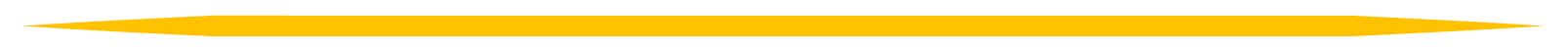 divider-01-1