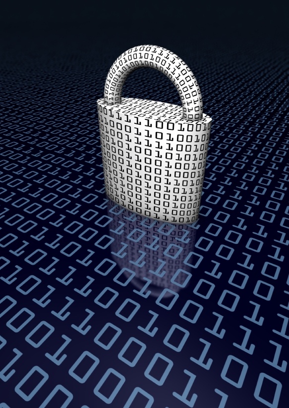The growth of cyber security risks.
